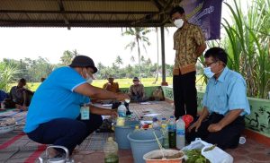 p4s_kendedes_(pestisida0_10_juni_2021-300×182 client-image