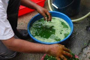 pembuatan_pestisida_organik-300×201 client-image