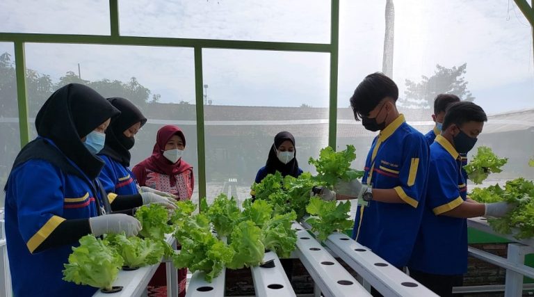 smkn_1_malang_hidroponik_30_juni_2021-768×427
